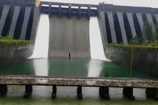 100.92 TMC water collected in Koyna Dam so far