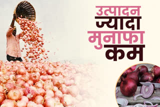 onion price in rajasthan,  onion cultivation in sikar