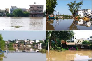 भंडारा पूरपरिस्थीतीबाबत आमदार भोंडेकरसह इतर नागरिकांच्या प्रतिक्रिया