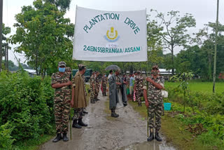 এছ.এছ.বি জোৱানৰ বৃক্ষৰোপন কাৰ্যসূচী