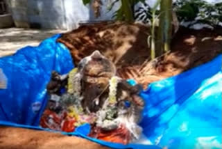 ganesh idol immersion at hanuman temple at gudimalkapur in hyderabad