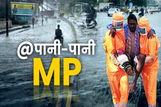 heavy rain in madhya pradesh