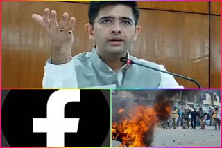 Peace and harmony committee also accused Facebook in Delhi riots