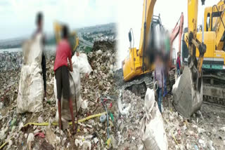 etv bharat checked Bhalswa landfill site condition in delhi