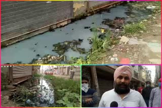 People upset due to lack of cleaning drains in Chandra Vihar area