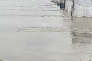 water level rises in chambal,  kota barrage