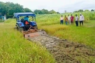 एसडीएम ने अवैध कब्जे से मुक्त कराई दो करोड़ की जमीन