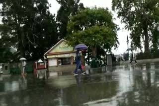 Meteorological Department has issued an alert for heavy rain in Himachal