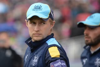 Joe Root