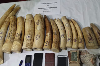 anandpur latest news, elephant teeth seized in anandpur, elephant teeth trafficking, anandpur forest department, ଆନନ୍ଦପୁର ଲାଟେଷ୍ଟ ନ୍ୟୁଜ୍‌, ଆନନ୍ଦପୁରରେ ହାତୀ ଦାନ୍ତ ଜବତ, ହାତୀ ଦାନ୍ତ ଚୋରା ଚାଲାଣ, ଆନନ୍ଦପୁର ବନ ବିଭାଗ