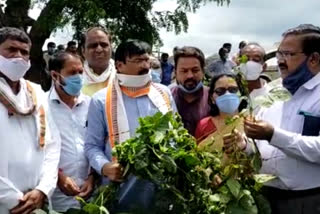 MP Gajendra Patel arrived to survey the crops