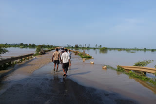 gadchiroli flood situation  gadchiroli flood 2020  gadchiroli flood affected people  gosikhurd dam water level  गोसीखुर्द प्रकल्प पाणीपातळी  गोसीखुर्द प्रकल्प पाणीसाठा  गडचिरोली महापूर २०२०  गडचिरोली पूरपरिस्थिती