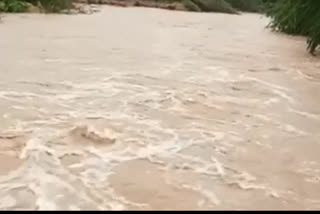 Streams and bends overflowing with rain