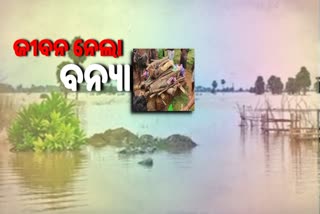 ପହଞ୍ଚିପାରିଲାନି ଆମ୍ବୁଲାନ୍ସ, ଚାଲିଗଲା ବୃଦ୍ଧାଙ୍କ ଜୀବନ