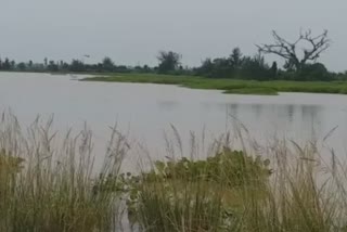 flood situation in gop block