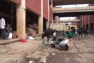 sellers facing difficulties in  kalasipalya market