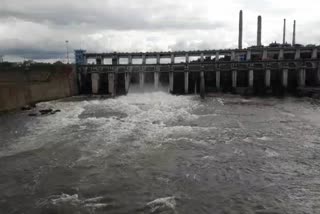 chambal,  water arrival is low in chambal