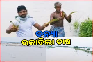 ଧନୁଆ ନଦୀର ବନ୍ୟା ଦୁର୍ଦ୍ଦଶା, ଗୋପ ବ୍ଲକର ଚାଷୀ ବ୍ୟାପକ କ୍ଷତିଗ୍ରସ୍ତ