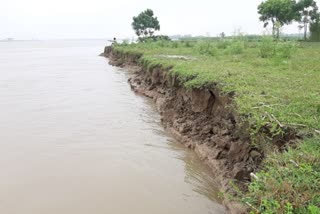 submerged cultivable land in Nadia
