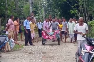 Poor condition of Road in bajali assam etv bharat news