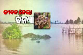 khurda-village-face-ambulance-problem-due-to-flood