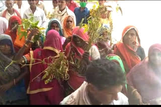 Women reached collectorate after taking soybean crop