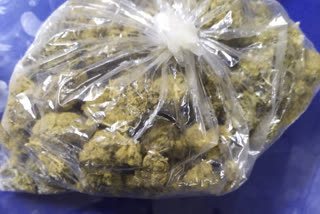 NCB policers arrest the drug kingpin