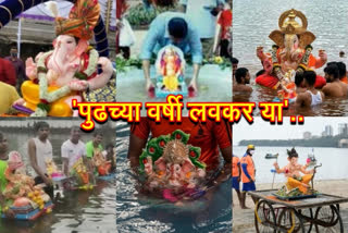 ganesh visarjan in various districts of maharashtra