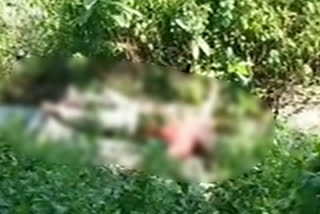 unknown person dead body found at karunagiri in khammam district