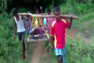 Chhattisgarh locals Pregnant woman carried to hospital on cot for 5 kms