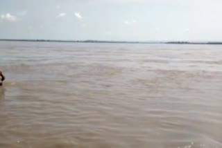 Authorities released water from the Godavari to three deltas