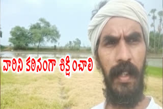 rice-crop-destroyed-in-atthakota-in-guntur-district