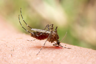 nuh health dept meeting malaria