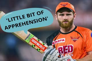 Kane Williamson