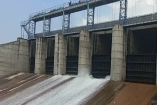 flood gates of kaushalya dam opened after heavy flow of water