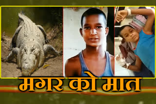 two brave brothers defeated  crocodile