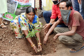 Congress planted trees in a pit in Jamnagar