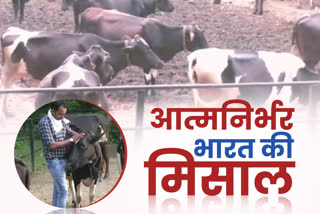 dairy farming business in bhoranj