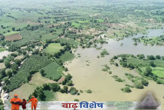 Heavy damage to crops due to flood