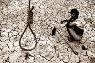 Maharashtra and Karnataka top list of states with maximum suicide by farmers: NCRB data