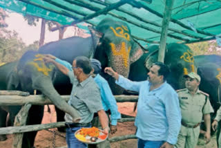 Aarti of elephants launched on the last day of the seven-day elephant festival