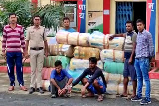 hemp smuggler arrested in balodabazar