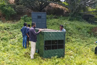 cheeta enters siddaganga mutt cattle field