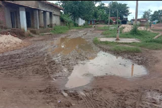 Condition of roads of  Prime Minister Gram Sadak Yojana is dismal in janjgir champa