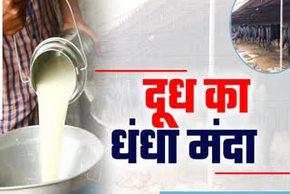 40-percent-loss-to-dairy-business-and-animal-husbandry-due-to-corona-virus-in-raipur