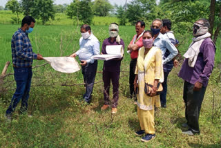 Durg commissioner inspected the farms of Kawardha