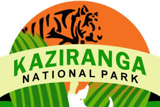 Kaziranga new three Addition