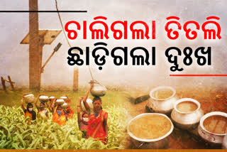 Tribal community of mahendragiri, gajapati district, 2 years of cyclone titli, ତିତଲି କ୍ଷତିଗ୍ରସ୍ତଙ୍କ ଜୀବନ, ତିତଲି କ୍ଷତିଗ୍ରସ୍ତ, ସାନ ଦେଉଳା ଏବଂ ବଡ ଦେଉଳା ଗାଁ