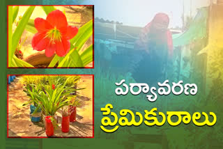 Sabihabanu planted four hundred seedlings on the roof of the house in Nalgonda