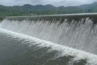 pali news, dams overflow, rains